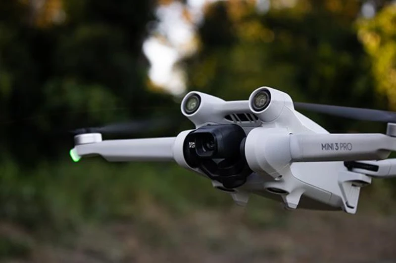 Inventário florestal com drone